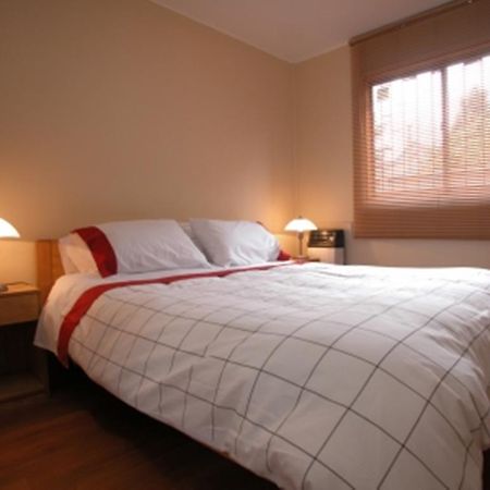 Apart Hotel Villa Los Ciruelos Valdivia Bagian luar foto
